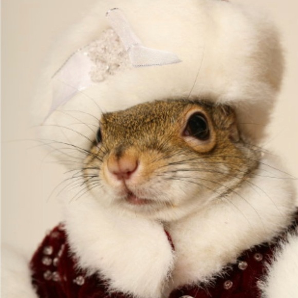 Extra Shipping Label Closet - Picture 1 of 1